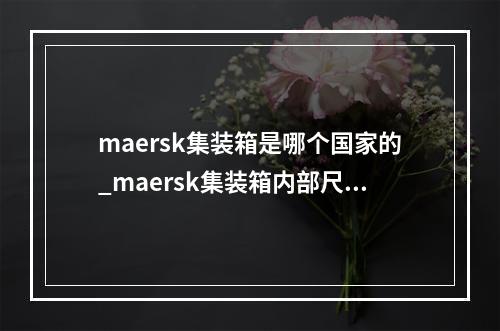 maersk集装箱是哪个国家的_maersk集装箱内部尺寸