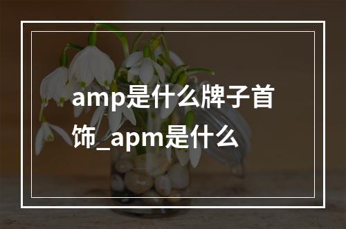 amp是什么牌子首饰_apm是什么