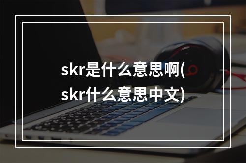 skr是什么意思啊(skr什么意思中文)
