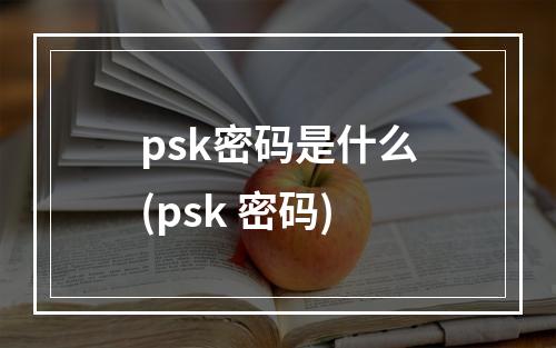 psk密码是什么(psk 密码)