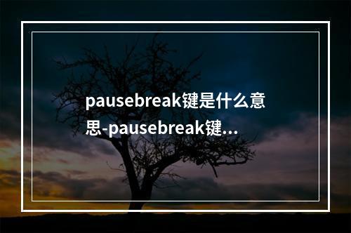 pausebreak键是什么意思-pausebreak键是哪个键
