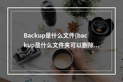 Backup是什么文件(backup是什么文件夹可以删除吗)
