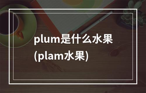 plum是什么水果(plam水果)