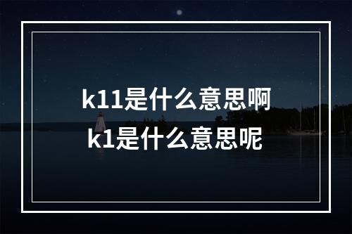 k11是什么意思啊 k1是什么意思呢