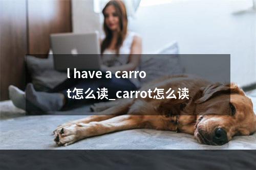 l have a carrot怎么读_carrot怎么读