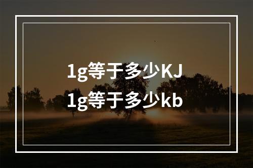 1g等于多少KJ 1g等于多少kb