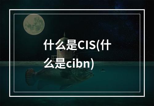 什么是CIS(什么是cibn)
