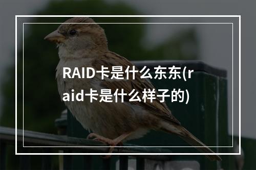 RAID卡是什么东东(raid卡是什么样子的)