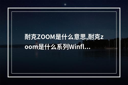 耐克ZOOM是什么意思,耐克zoom是什么系列Winflo9x