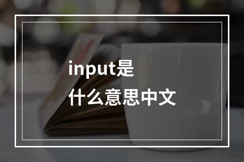 input是什么意思中文