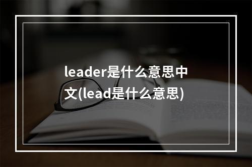 leader是什么意思中文(lead是什么意思)