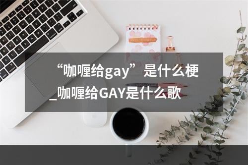 “咖喱给gay”是什么梗_咖喱给GAY是什么歌