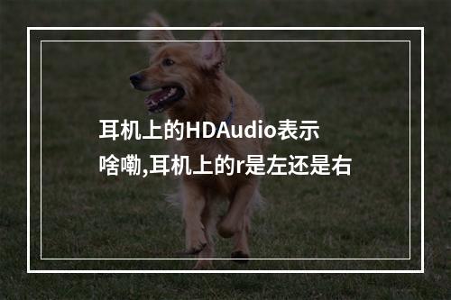 耳机上的HDAudio表示啥嘞,耳机上的r是左还是右