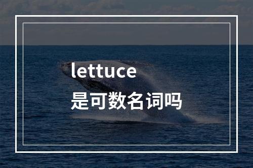 lettuce是可数名词吗