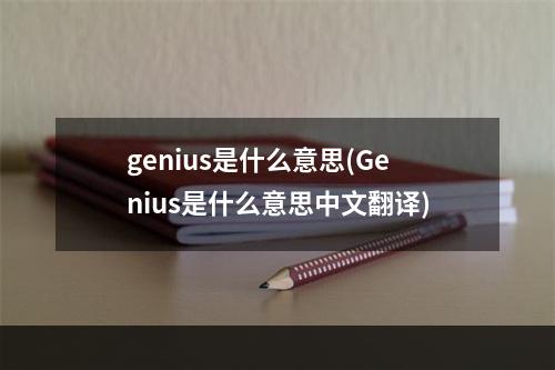 genius是什么意思(Genius是什么意思中文翻译)