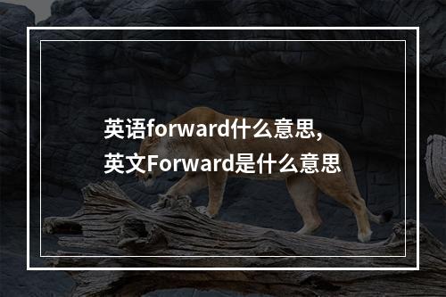 英语forward什么意思,英文Forward是什么意思